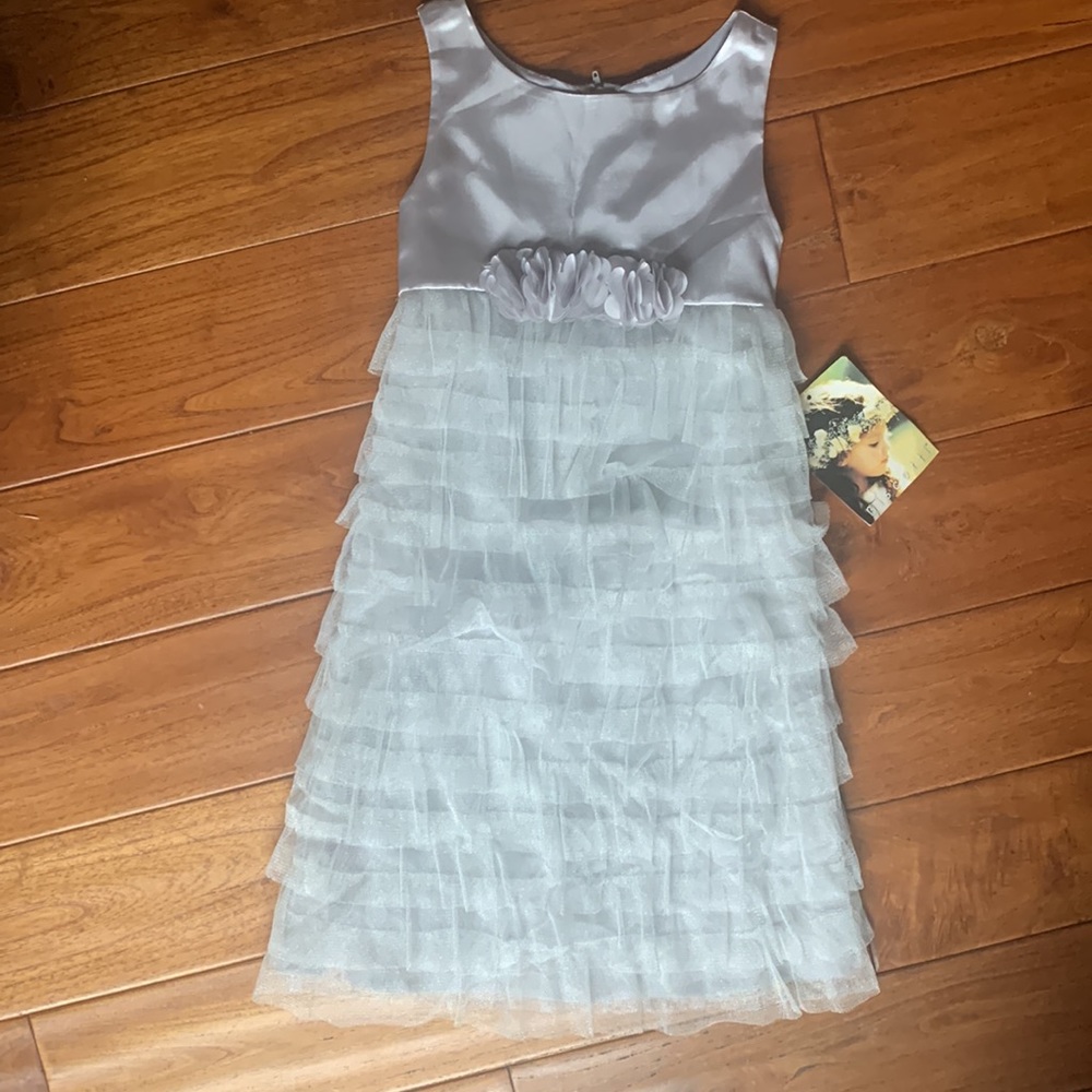Biscotti Dress Size 6X Silver Tulle Satin Tea Length Wedding Flower Girl Holiday